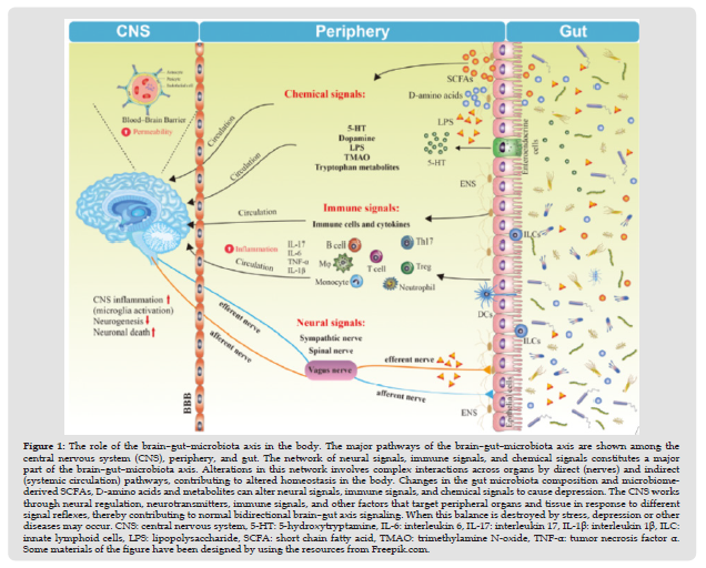 Click here to view Large Figure 1 biomedres-openaccess-journal-bjstr