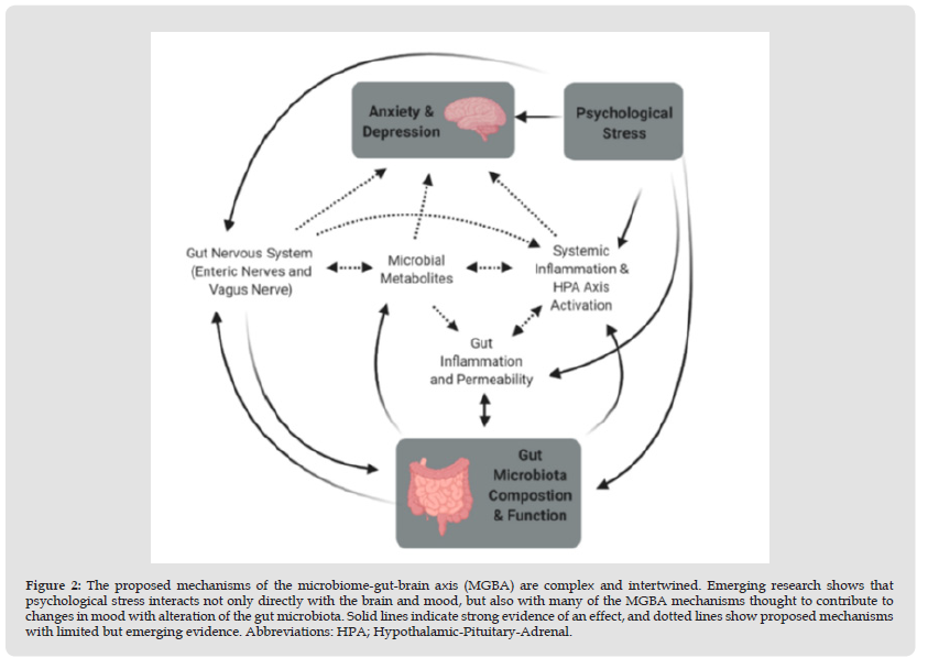 Click here to view Large Figure 2 biomedres-openaccess-journal-bjstr