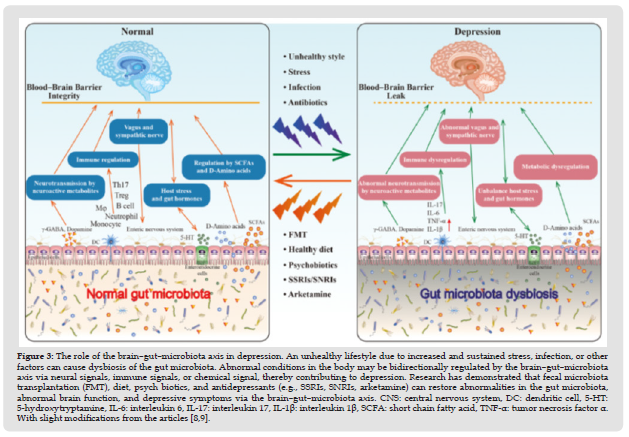 Click here to view Large Figure 3 biomedres-openaccess-journal-bjstr