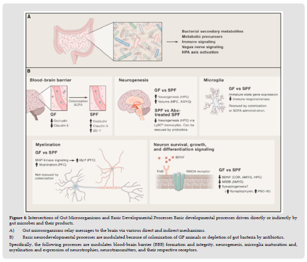 Click here to view Large Figure 4 biomedres-openaccess-journal-bjstr