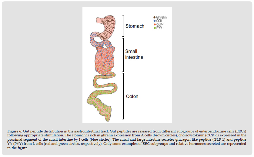 Click here to view Large Figure 6 biomedres-openaccess-journal-bjstr