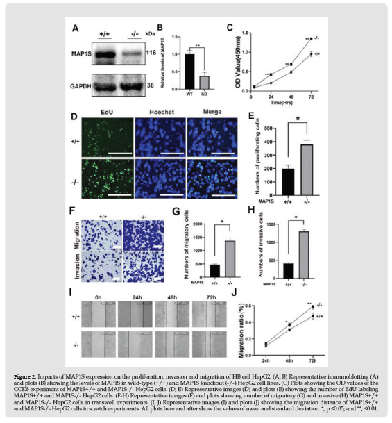 Click here to view Large Figure 2 biomedres-openaccess-journal-bjstr