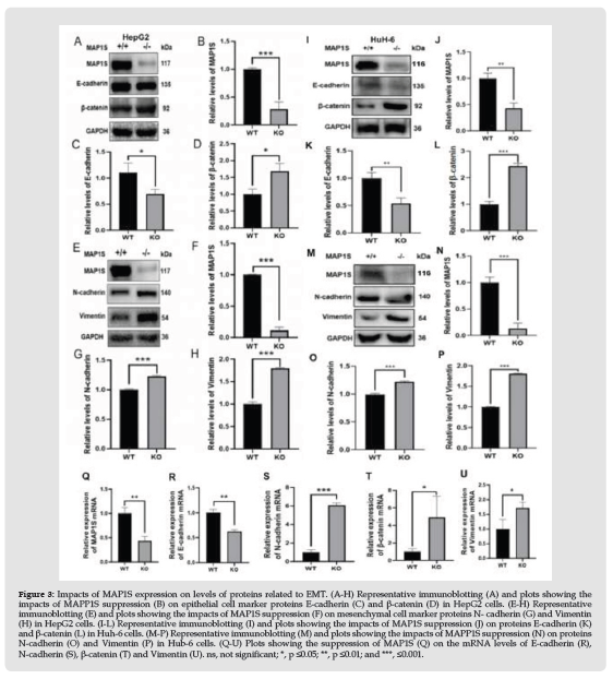 Click here to view Large Figure 3 biomedres-openaccess-journal-bjstr