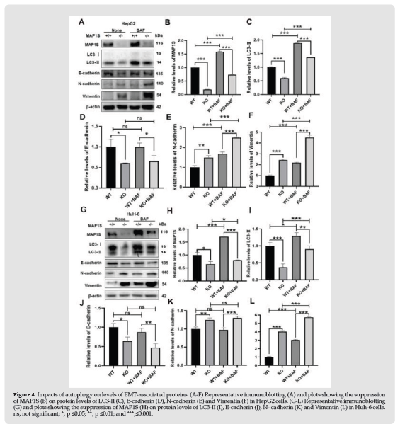 Click here to view Large Figure 4 biomedres-openaccess-journal-bjstr