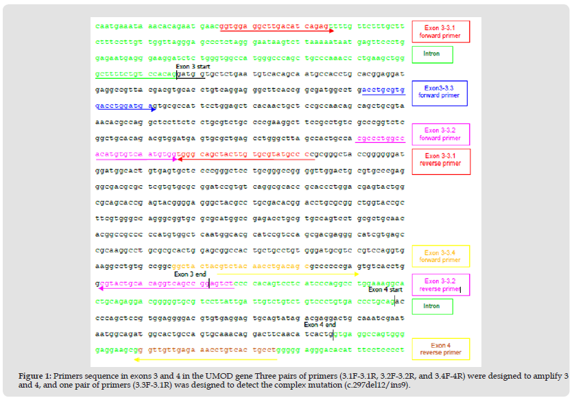 Click here to view Large Figure 1 biomedres-openaccess-journal-bjstr