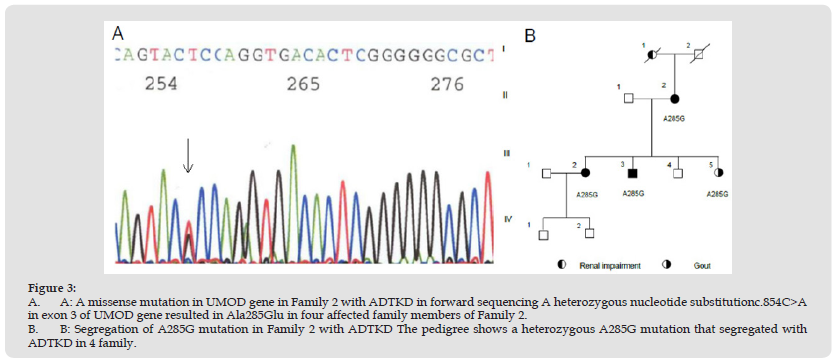 Click here to view Large Figure 3 biomedres-openaccess-journal-bjstr