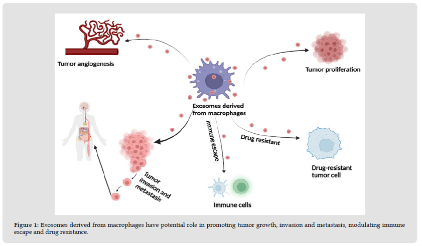 Click here to view Large Figure 1 biomedres-openaccess-journal-bjstr