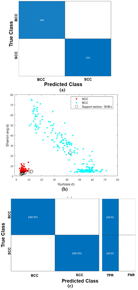 Click here to view Large Figure 11 biomedres-openaccess-journal-bjstr