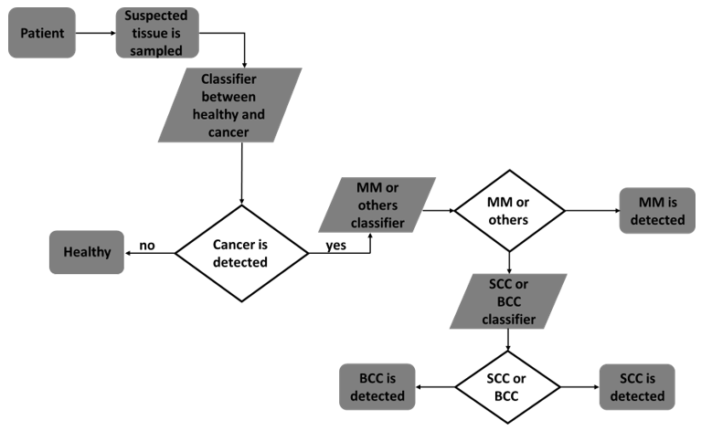 Click here to view Large Figure 3 biomedres-openaccess-journal-bjstr