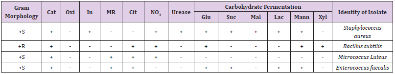 Click here to view Large Table 2 biomedres-openaccess-journal-bjstr