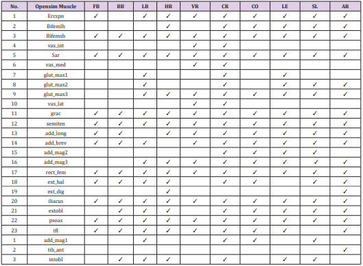 biomedres-openaccess-journal-bjstr