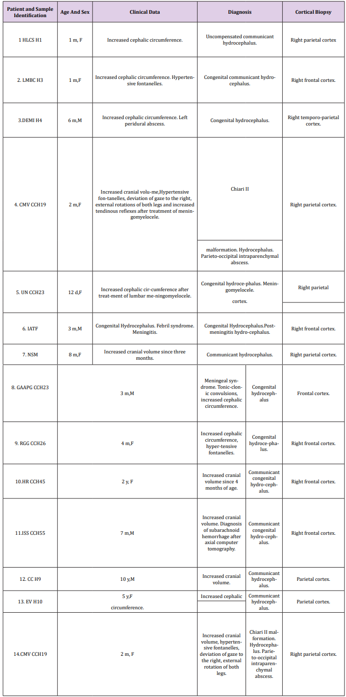 biomedres-openaccess-journal-bjstr