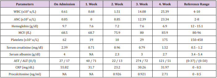biomedres-openaccess-journal-bjstr