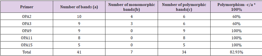 biomedres-openaccess-journal-bjstr